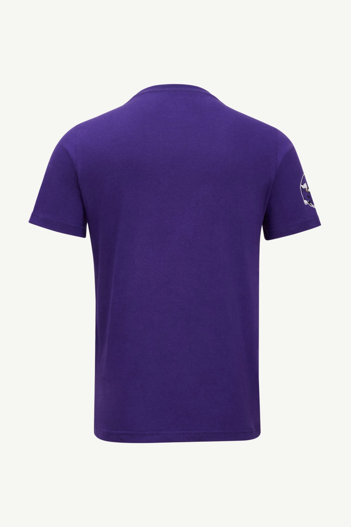 MENS MINNESOTA VIKINGS GRAPHIC T SHIRT - Starter